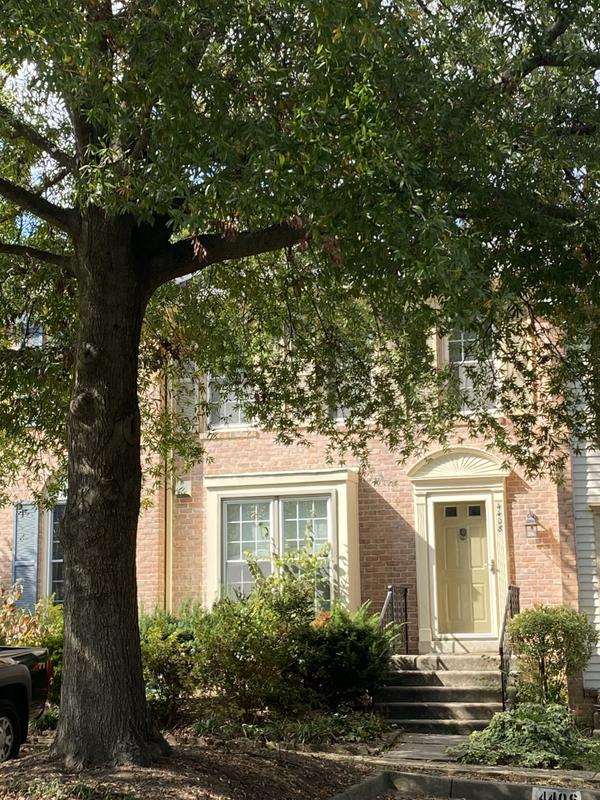 Living in Vienna, VA: Homes, Neighborhoods & What Buyers Should Know