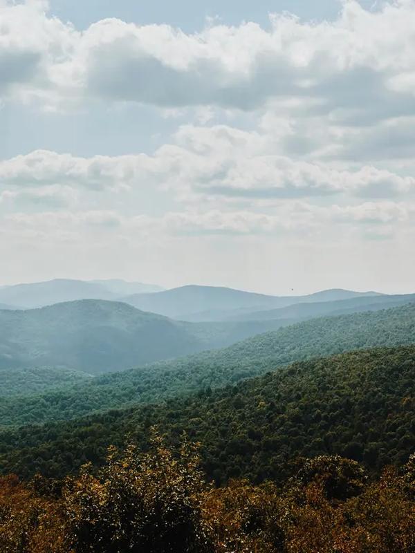 Moving to Northern Virginia