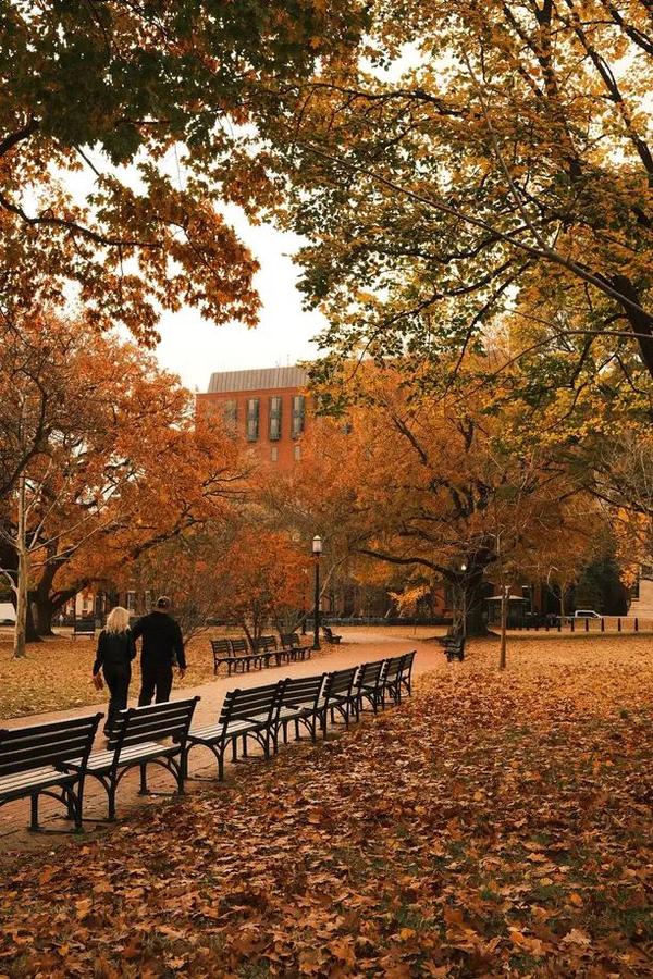 Reston, Virginia neighborhoods and homes