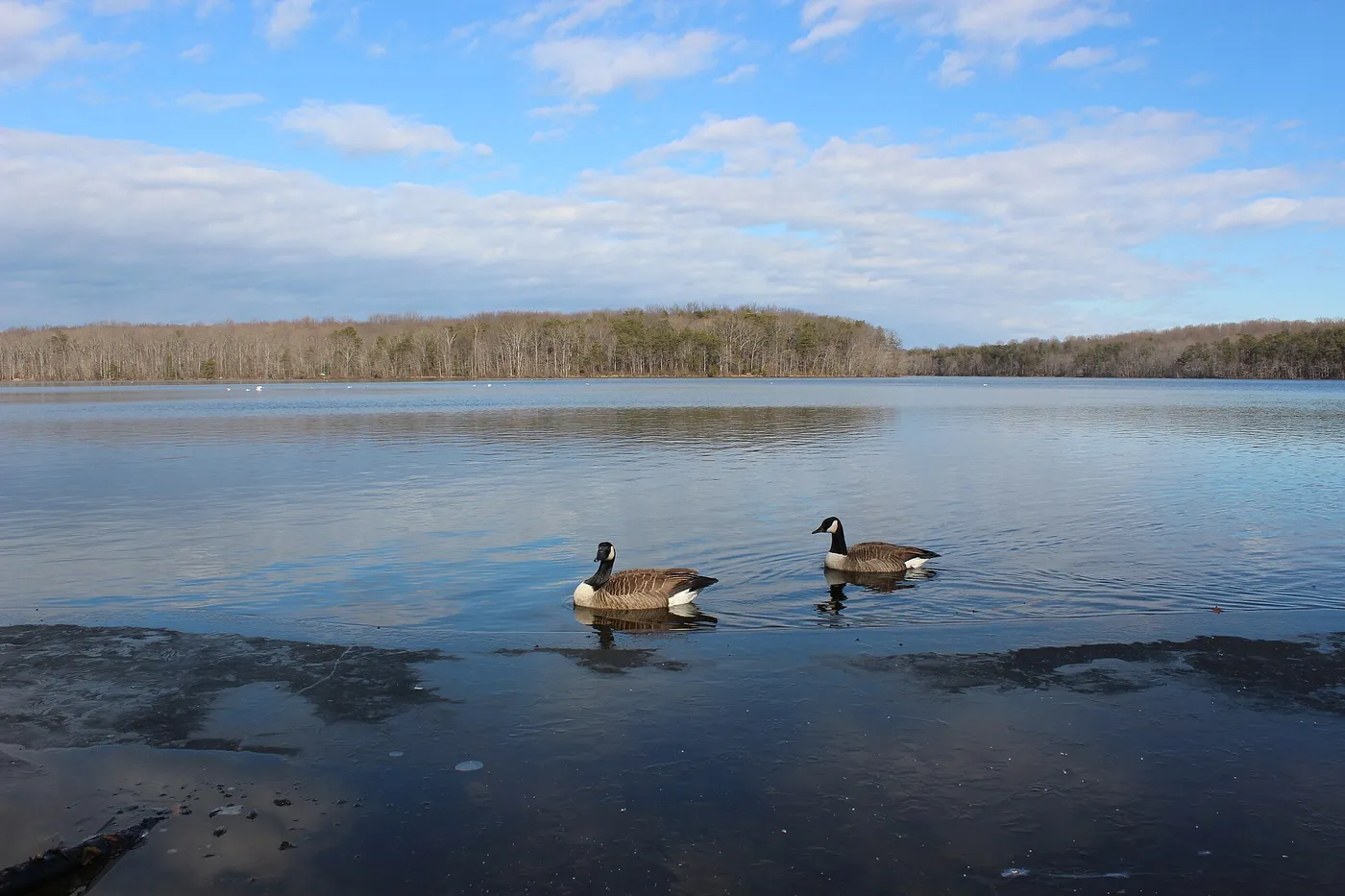 Burke Lake