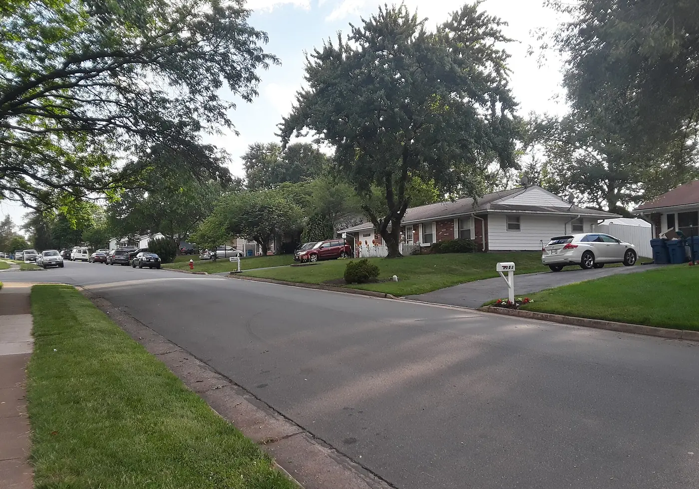 Houses in Sterling Park